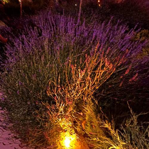 Photo #7748270