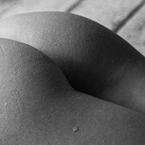 Photo #7748332