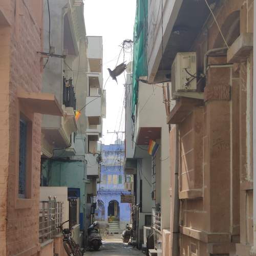 Photo #7748595