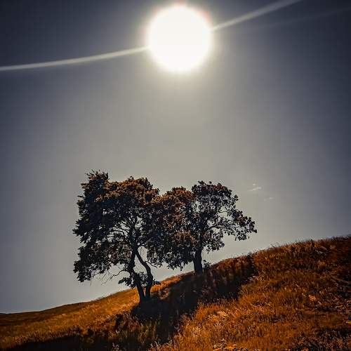 Photo #7748817