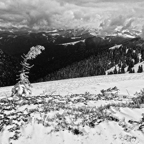 Photo #7749093