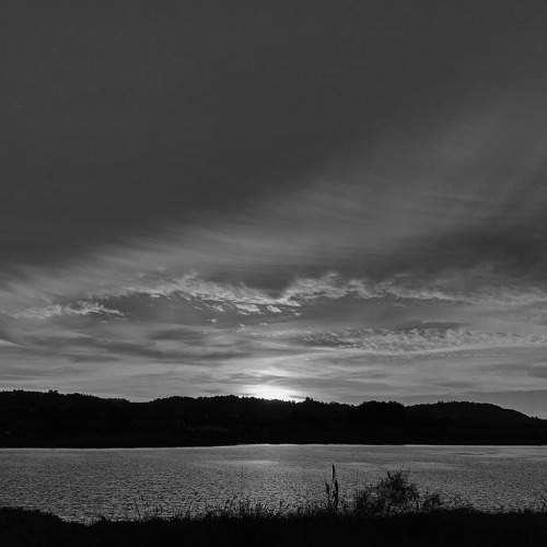 Photo #7749166