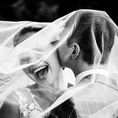 Photo #7749375