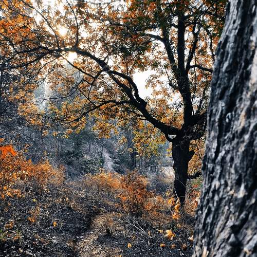 Photo #7749418