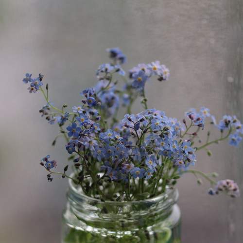 Photo #7749458