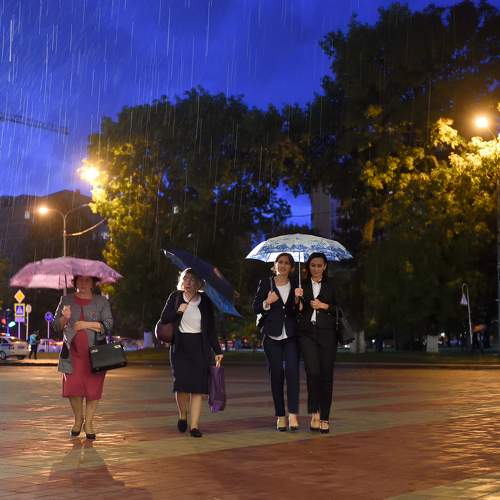 Photo #7749931