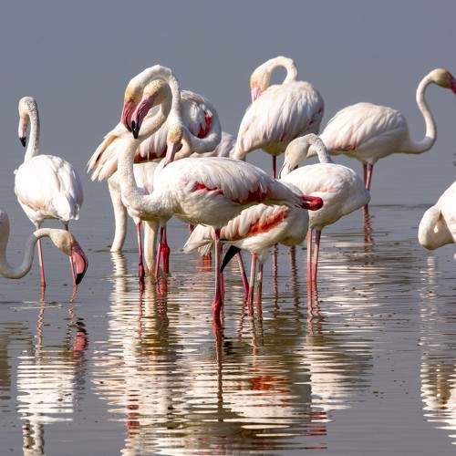 Photo #7750056