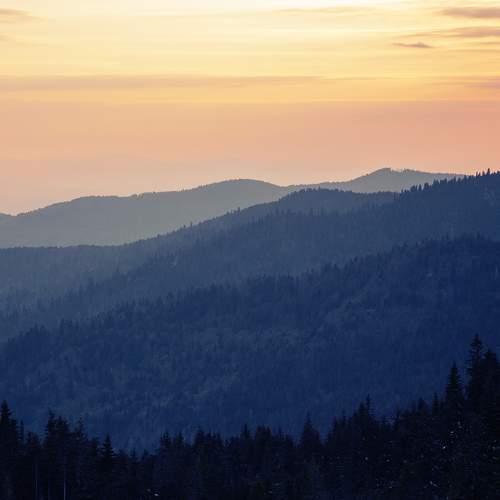 Photo #7750129