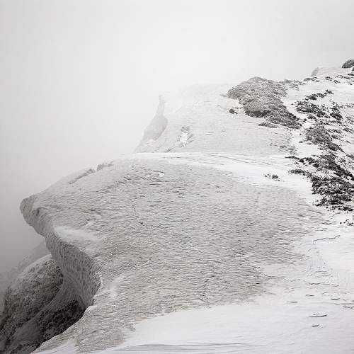 Photo #7750132