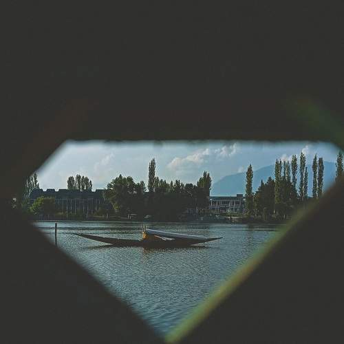 Photo #7750250