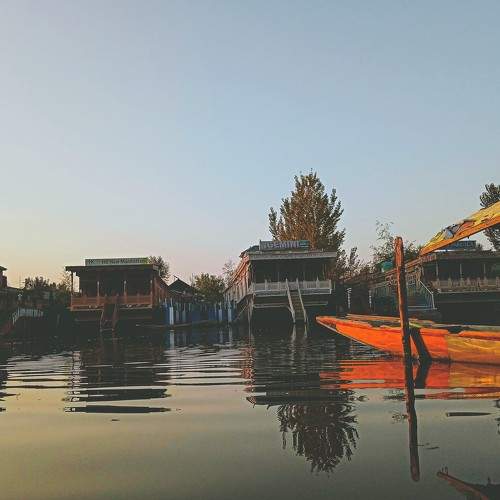 Photo #7750252