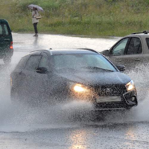 Photo #7750999