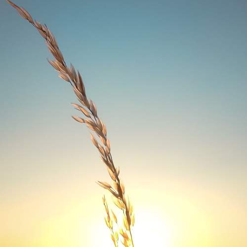 Photo #7751131