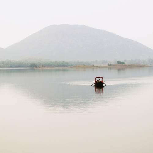 Photo #7751194
