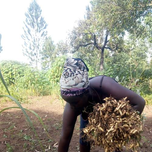 Photo #7751202