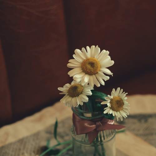 Photo #7751477