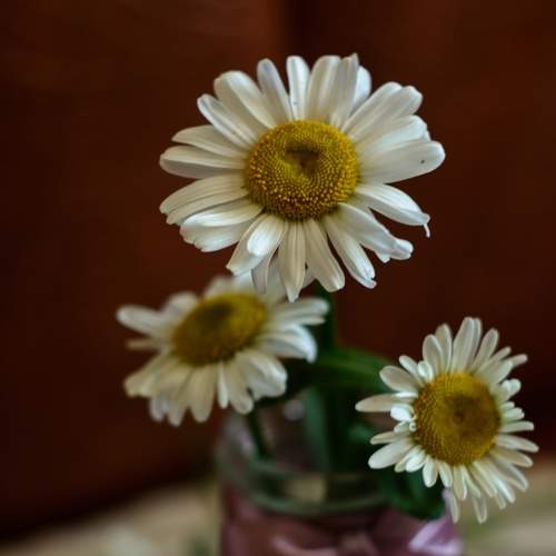 Photo #7751479