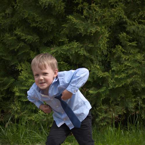 Photo #7751730