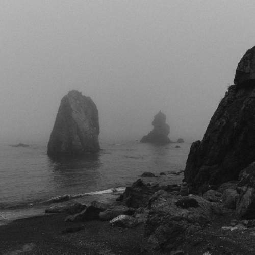 Photo #7751755