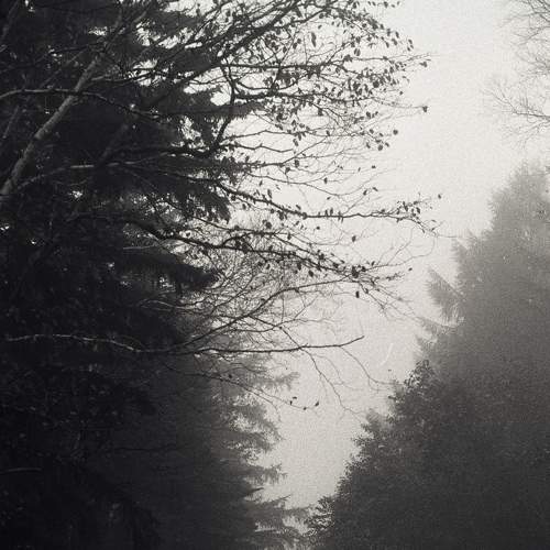 Photo #7751765
