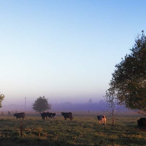 Photo #7751988