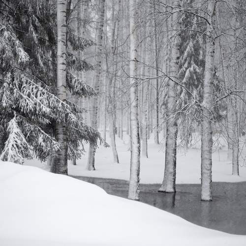 Photo #7752000