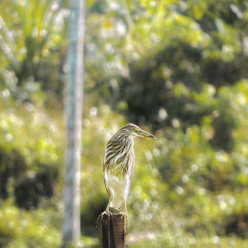 Photo #7752379