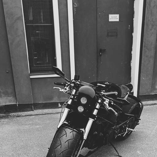Photo #7752981