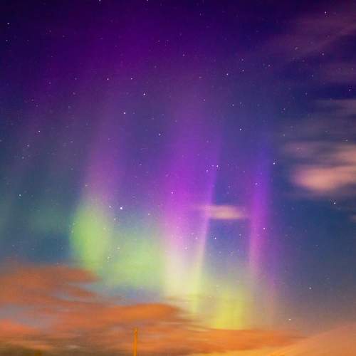 Photo #7753166
