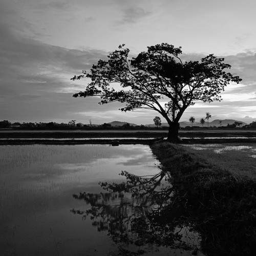 Photo #7753884