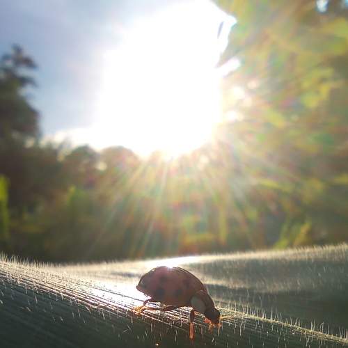 Photo #7754134