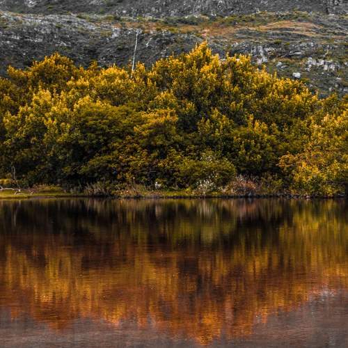 Photo #7754276