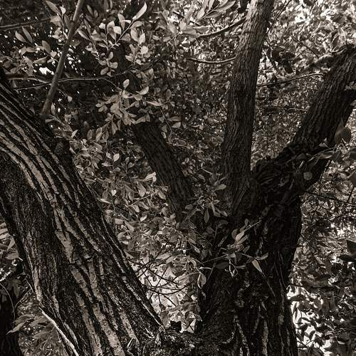 Photo #7754852