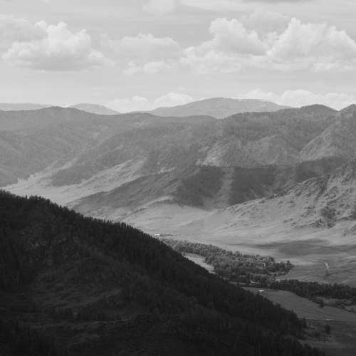 Photo #7755221