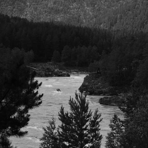 Photo #7755225