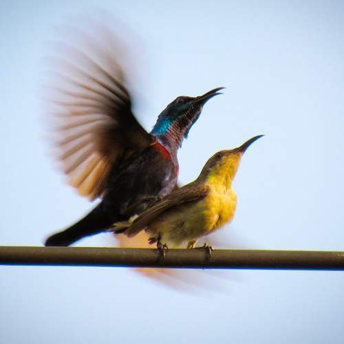 Photo #7755246