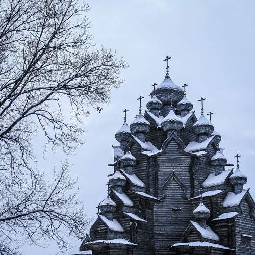 Photo #7755474