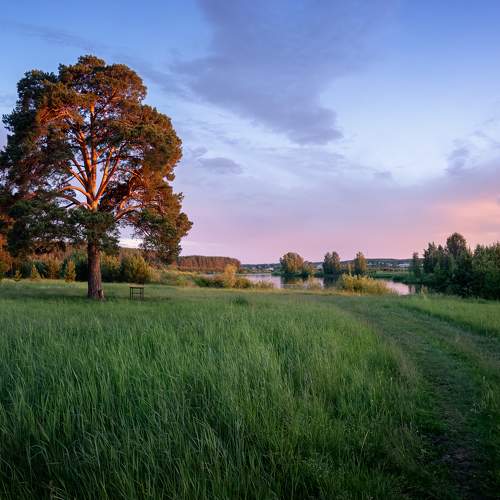 Photo #7755660