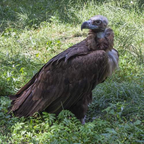 Photo #7755707