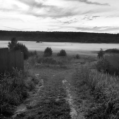 Photo #7755774
