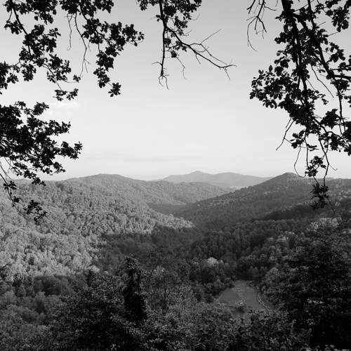 Photo #7755775