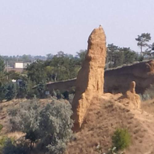 Photo #7755846