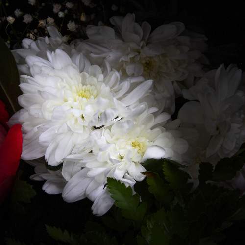 Photo #7756328