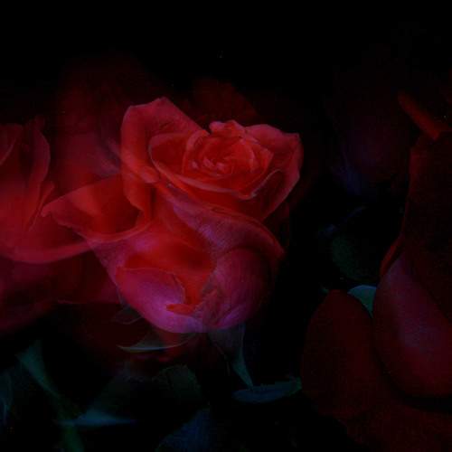 Photo #7756331