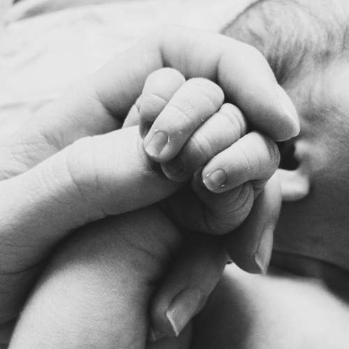 Photo #7756351