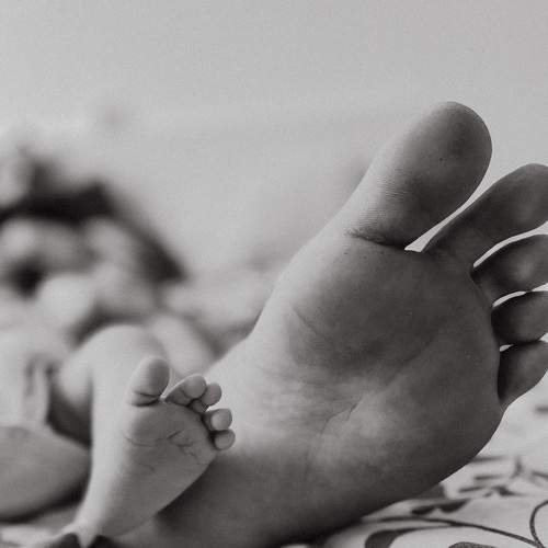 Photo #7756352