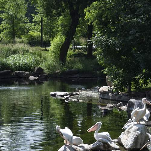 Photo #7756585