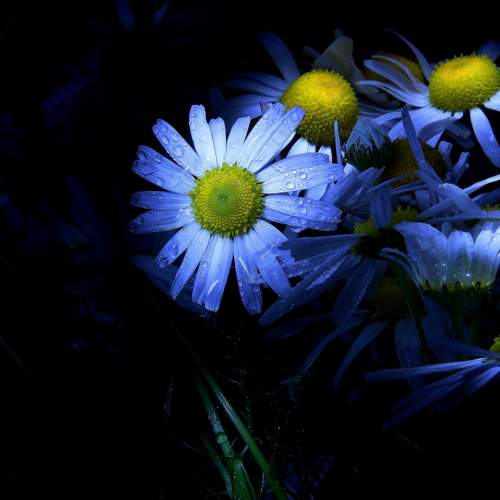 Photo #7756640