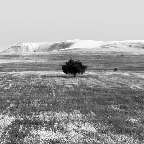 Photo #7757168