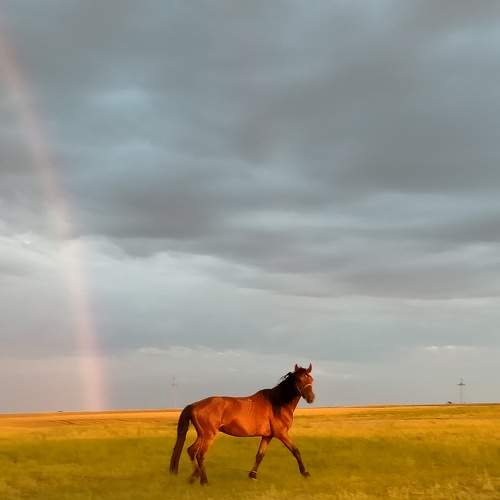 Photo #7757313